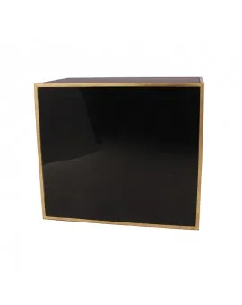 4 Ft Gold Frame Bar With Plexi
