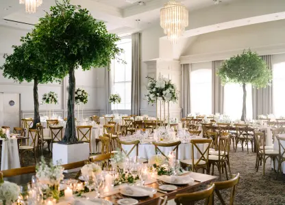 Wooden Harvest Chairs