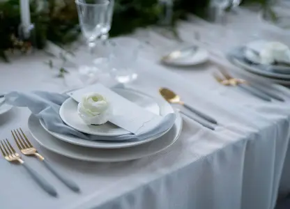 White Elegant Plates