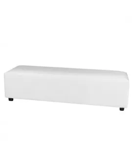 Dt White Bench